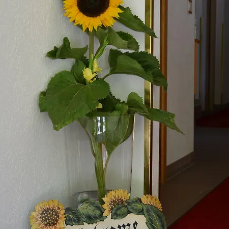 Hotel Sport Saas-Almagell